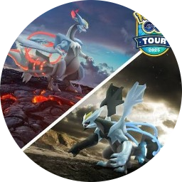 Camino a Kalos - Unova